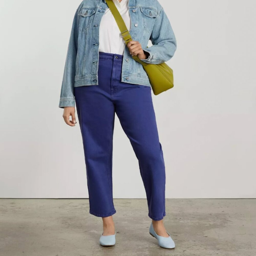 NWOT Everlane The Way-High Jean 28 27.5” Inseam / Archroma Deep Lapis
